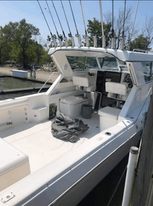 Top Charter Fishing On Lake Erie out Marble, Ohio